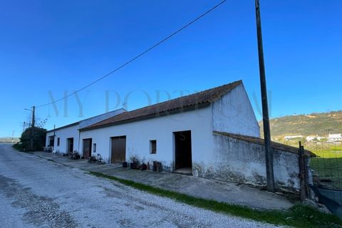 Farm i Odeceixe, Faro, Odeceixe - € 1.240.000 | Ref: MAS_653 - foto 7