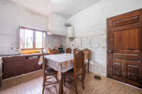 Farm i Odeceixe, Faro, Odeceixe - € 1.240.000 | Ref: MAS_653 - foto 20
