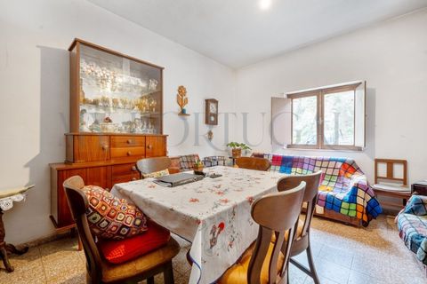 Farm i Odeceixe, Faro, Odeceixe - € 1.240.000 | Ref: MAS_653 - foto 25