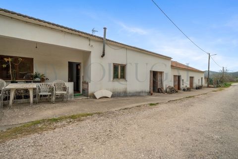 Farm i Odeceixe, Faro, Odeceixe - € 1.240.000 | Ref: MAS_653 - foto 28