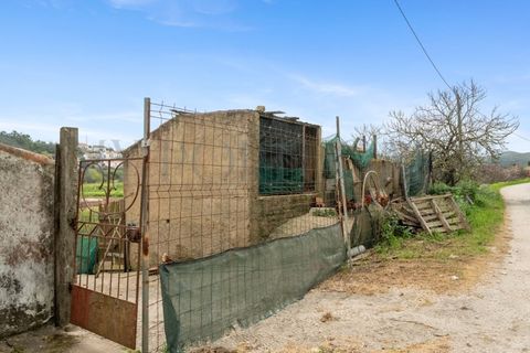 Farm i Odeceixe, Faro, Odeceixe - € 1.240.000 | Ref: MAS_653 - foto 30