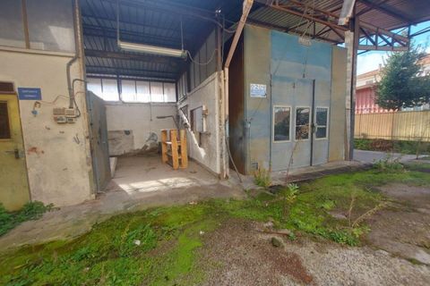 Erhvervsejendom i Itri, Latina, Itri - € 457.600 | Ref: 2537439 - foto 13
