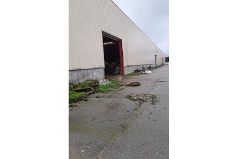 Erhvervsejendom i Guarda, Guarda, Guarda - € 6.000.000 | Ref: NAU_53945 - foto 5