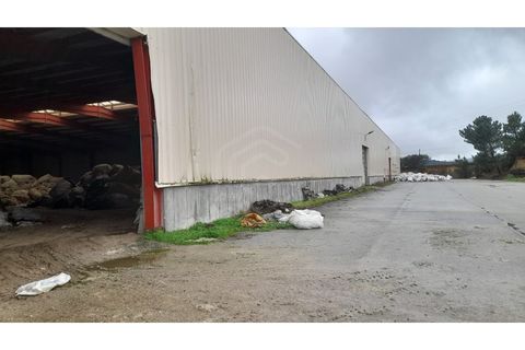 Erhvervsejendom i Guarda, Guarda, Guarda - € 6.000.000 | Ref: NAU_53945 - foto 6