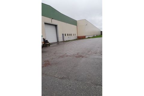 Erhvervsejendom i Guarda, Guarda, Guarda - € 6.000.000 | Ref: NAU_53945 - foto 12