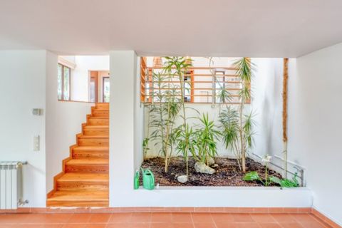 Villa a Sintra, Lisbon, Sintra - € 6.500/mes | Ref: M-5525 - foto 14