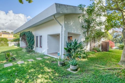 Villa a Sintra, Lisbon, Sintra - € 6.500/mes | Ref: M-5525 - foto 49