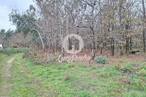 Helårsgrund i Barcelos, Braga, Barcelos - € 120.000 | Ref: 240-T-26065 - foto 3