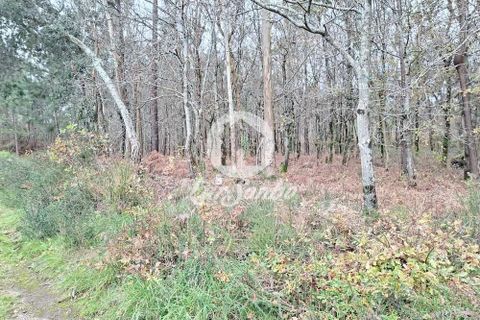 Helårsgrund i Barcelos, Braga, Barcelos - € 120.000 | Ref: 240-T-26065 - foto 4