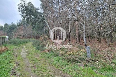 Helårsgrund i Barcelos, Braga, Barcelos - € 120.000 | Ref: 240-T-26065 - foto 5