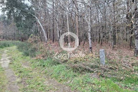 Helårsgrund i Barcelos, Braga, Barcelos - € 120.000 | Ref: 240-T-26065 - foto 6