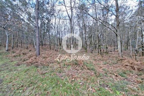Helårsgrund i Barcelos, Braga, Barcelos - € 120.000 | Ref: 240-T-26065 - foto 8