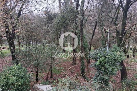 Helårsgrund i Barcelos, Braga, Barcelos - € 128.000 | Ref: 240-T-26066 - foto 5