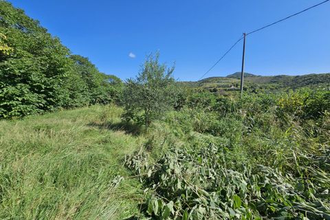 Villa i Baone, Padua, Baone - € 73.000 | Ref: BIF 489 - foto 13