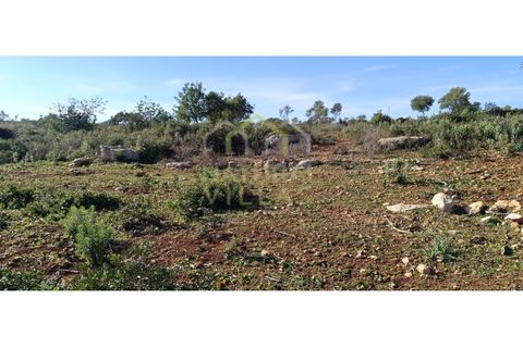 Helårsgrund i Quelfes, Faro, Quelfes - € 160.000 | Ref: TER_2501_VEND - foto 6