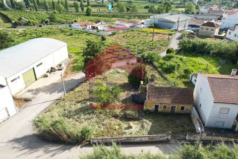 Villa i Bombarral, Leiria, Bombarral - € 99.000 | Ref: 150250212 - foto 7