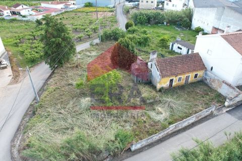 Villa i Bombarral, Leiria, Bombarral - € 99.000 | Ref: 150250212 - foto 8