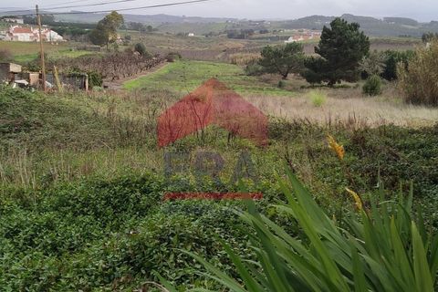 Helårsgrund i Bombarral, Leiria, Bombarral - € 150.000 | Ref: 130260007 - foto 6