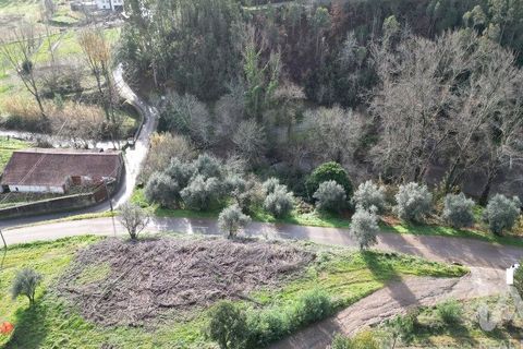 Helårsgrund i Miranda do Corvo, Coimbra, Miranda do Corvo - € 20.000 | Ref: 134112 - foto 4