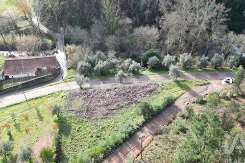 Helårsgrund i Miranda do Corvo, Coimbra, Miranda do Corvo - € 20.000 | Ref: 134112 - foto 5