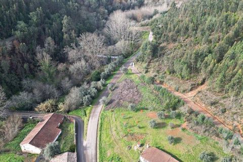 Helårsgrund i Miranda do Corvo, Coimbra, Miranda do Corvo - € 20.000 | Ref: 134112 - foto 9
