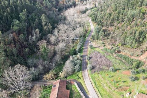 Helårsgrund i Miranda do Corvo, Coimbra, Miranda do Corvo - € 20.000 | Ref: 134112 - foto 11