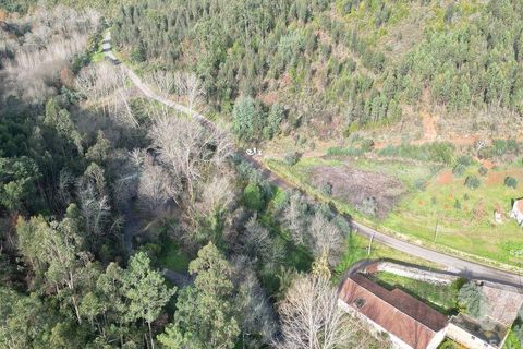 Helårsgrund i Miranda do Corvo, Coimbra, Miranda do Corvo - € 20.000 | Ref: 134112 - foto 14