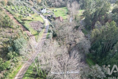 Helårsgrund i Miranda do Corvo, Coimbra, Miranda do Corvo - € 20.000 | Ref: 134112 - foto 16