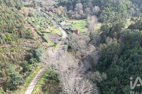 Helårsgrund i Miranda do Corvo, Coimbra, Miranda do Corvo - € 20.000 | Ref: 134112 - foto 17