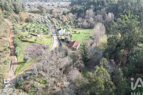Helårsgrund i Miranda do Corvo, Coimbra, Miranda do Corvo - € 20.000 | Ref: 134112 - foto 18