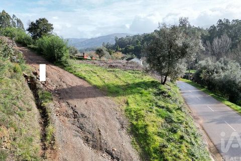 Helårsgrund i Miranda do Corvo, Coimbra, Miranda do Corvo - € 20.000 | Ref: 134112 - foto 19