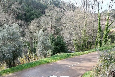 Helårsgrund i Miranda do Corvo, Coimbra, Miranda do Corvo - € 20.000 | Ref: 134112 - foto 20
