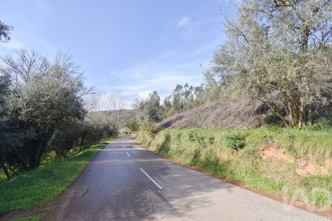Helårsgrund i Miranda do Corvo, Coimbra, Miranda do Corvo - € 20.000 | Ref: 134112 - foto 22