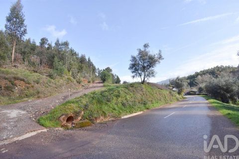 Helårsgrund i Miranda do Corvo, Coimbra, Miranda do Corvo - € 20.000 | Ref: 134112 - foto 23
