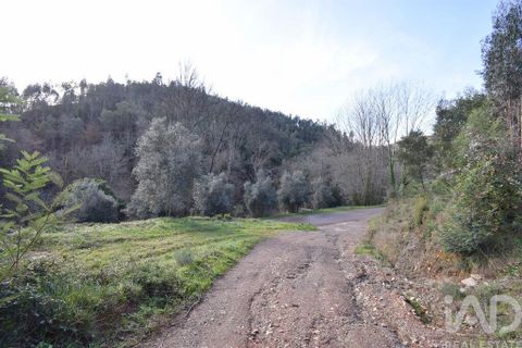 Helårsgrund i Miranda do Corvo, Coimbra, Miranda do Corvo - € 20.000 | Ref: 134112 - foto 24