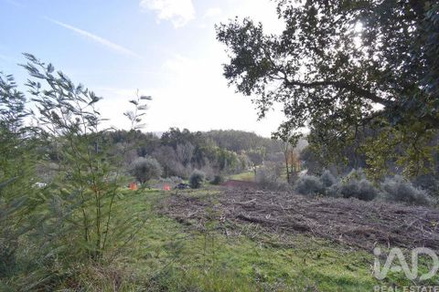 Helårsgrund i Miranda do Corvo, Coimbra, Miranda do Corvo - € 20.000 | Ref: 134112 - foto 25