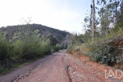 Helårsgrund i Miranda do Corvo, Coimbra, Miranda do Corvo - € 20.000 | Ref: 134112 - foto 26
