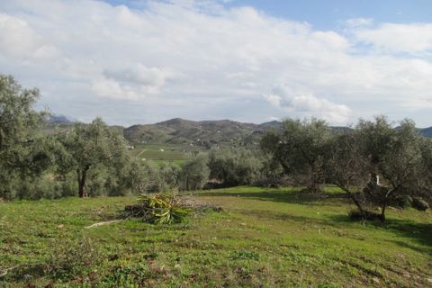 Villa i Almogia, Malaga, Almogia - € 399.000 | Ref: CLDA-94737 - foto 9