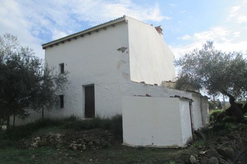 Villa i Almogia, Malaga, Almogia - € 399.000 | Ref: CLDA-94737 - foto 15