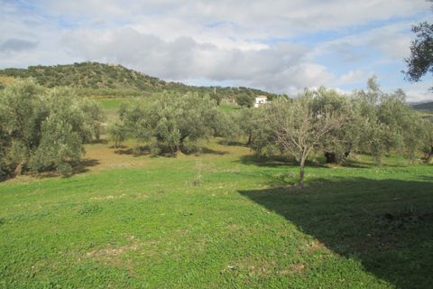 Villa i Almogia, Malaga, Almogia - € 399.000 | Ref: CLDA-94737 - foto 17