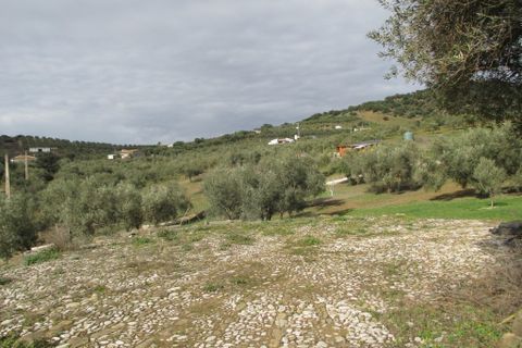 Villa i Almogia, Malaga, Almogia - € 399.000 | Ref: CLDA-94737 - foto 18