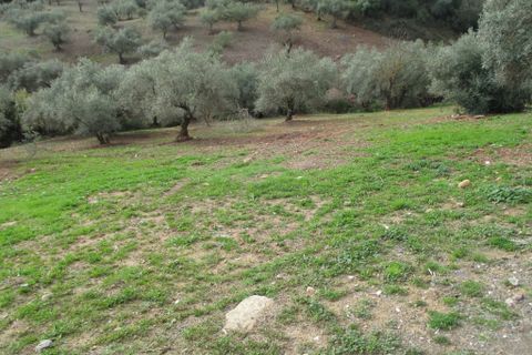 Villa i Almogia, Malaga, Almogia - € 399.000 | Ref: CLDA-94737 - foto 20
