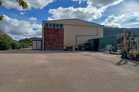 Landejendom i Monovar, Alicante, Monovar - € 225.000 | Ref: PT3130 - foto 5
