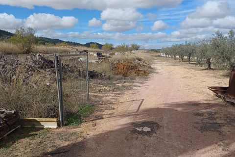 Landejendom i Monovar, Alicante, Monovar - € 225.000 | Ref: PT3130 - foto 17
