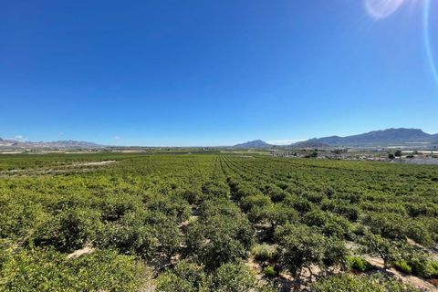 Villa i Murcia, Murcia, Murcia - € 5.600.000 | Ref: MLSC1565680/13477 - foto 2