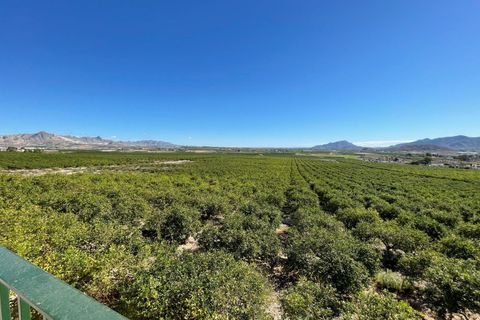Villa i Murcia, Murcia, Murcia - € 5.600.000 | Ref: MLSC1565680/13477 - foto 3