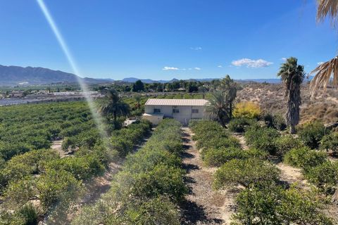 Villa i Murcia, Murcia, Murcia - € 5.600.000 | Ref: MLSC1565680/13477 - foto 4