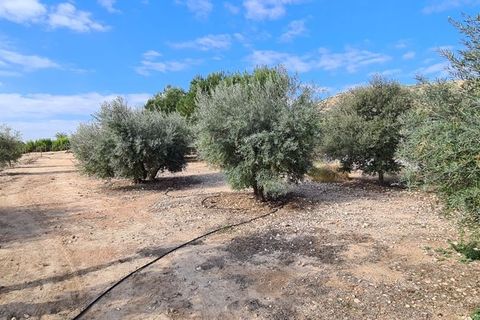 Villa a Orihuela, Alicante, Orihuela - € 1.150.000 | Ref: MLSC214880/13477 - foto 43