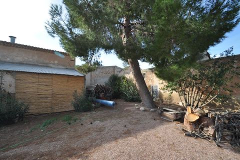 Villa i Pinoso, Alicante, Pinoso - € 259.995 | Ref: MLSC9825474/13477 - foto 14