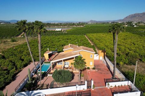 Villa i Orihuela, Alicante, Orihuela - € 675.000 | Ref: MLSC7162458/13477 - foto 14
